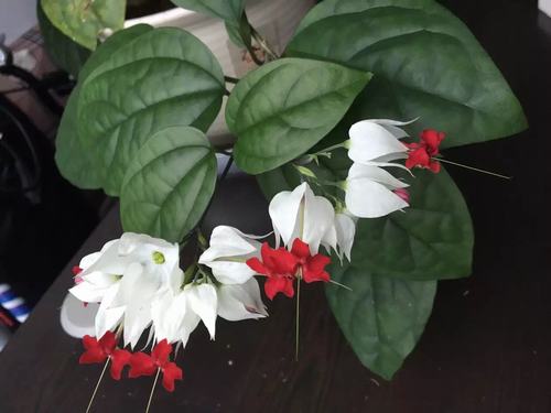 安裝項(xiàng)目部1.jpg