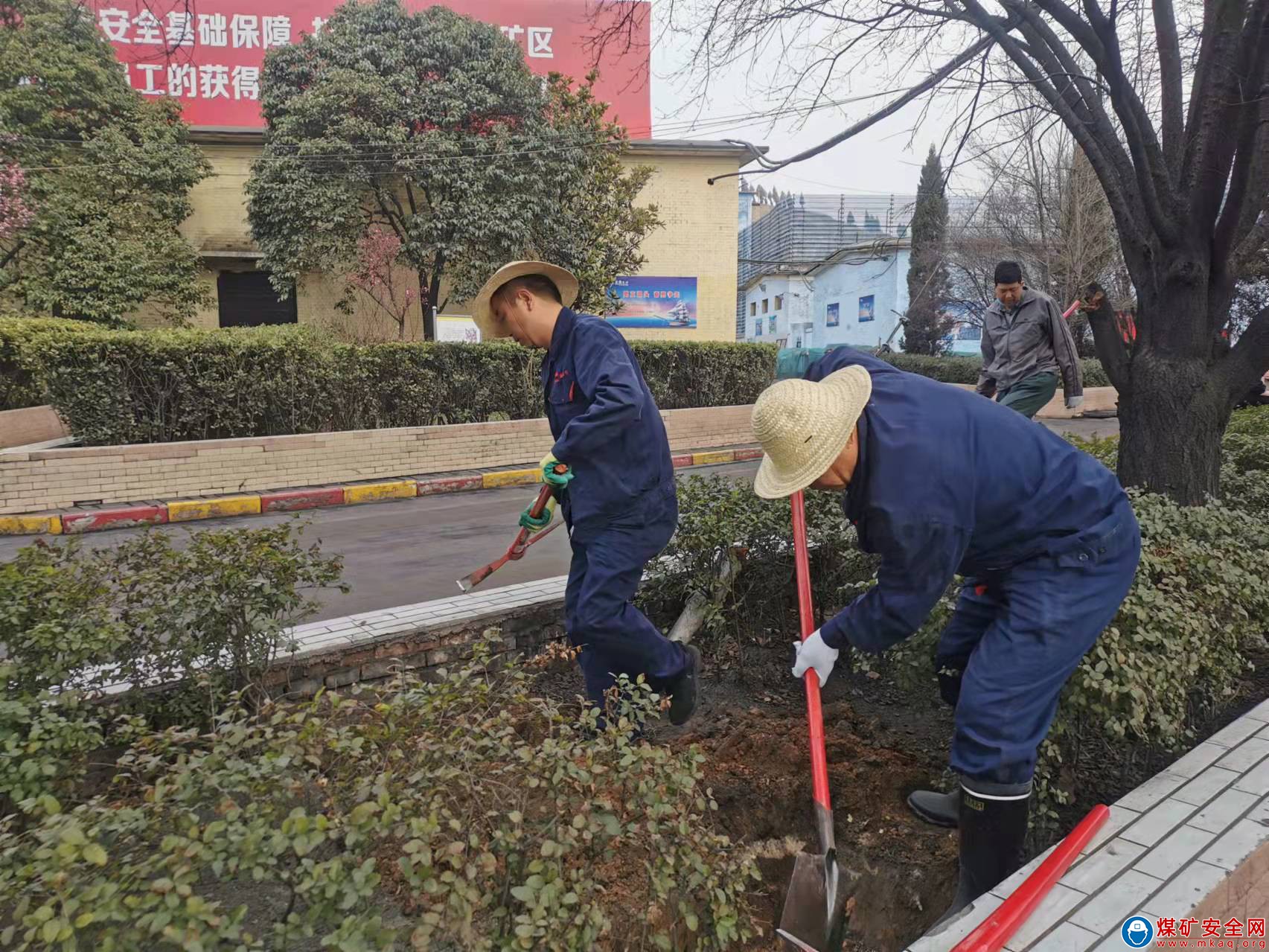 植一抹新綠，守礦區(qū)一片凈土