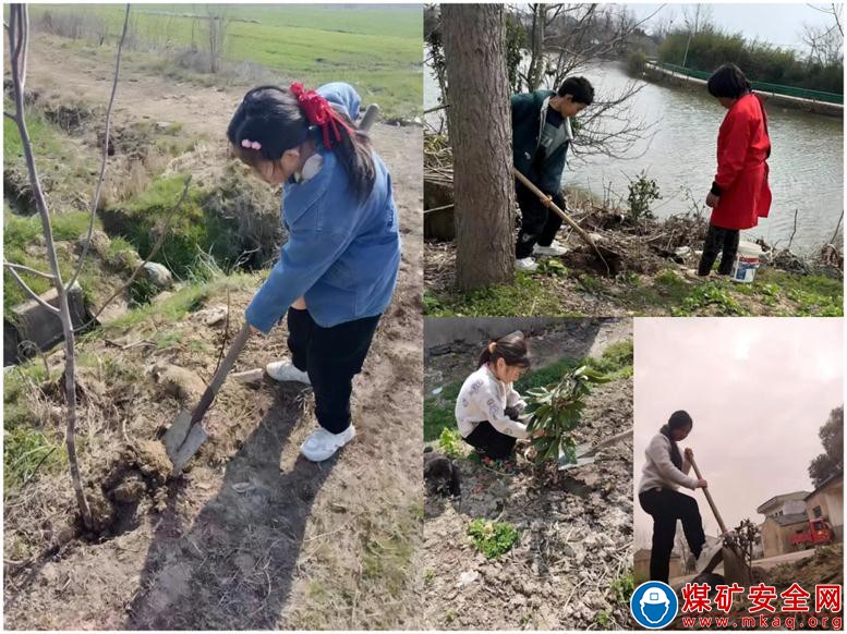 安徽廬江：郭河鎮(zhèn)粉坊小學(xué)開展植樹節(jié)系列活動